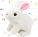 /67e65fcbf844a300093b9caa/2025/06/13/product-img-684bea8f6a07c800bf6c8f29.jpg